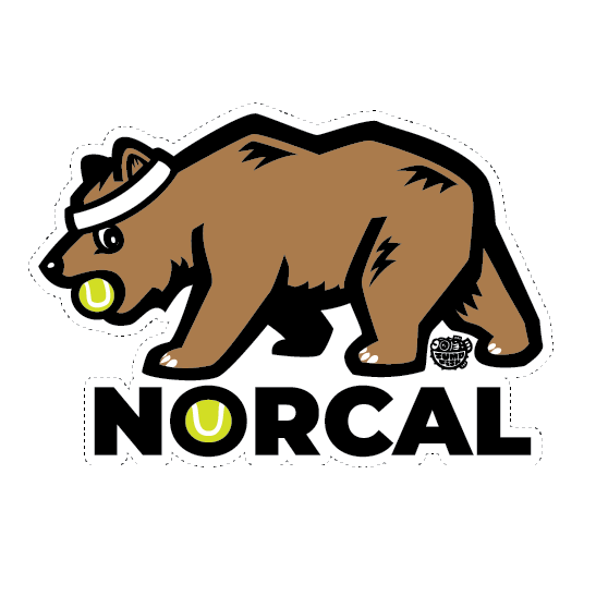 Tennis Bear decal